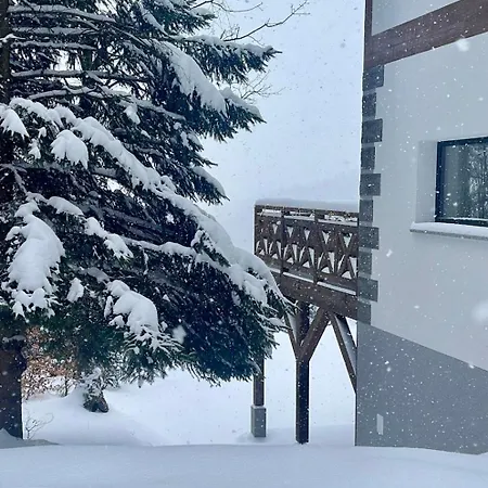 Dwupoziomowy, Luksusowy Platinum - Sunny Slope Szklarska Poreba, Sauna, Widok, Ogrod, Taras, 3 Lazienki, 2 Do 8 Osob