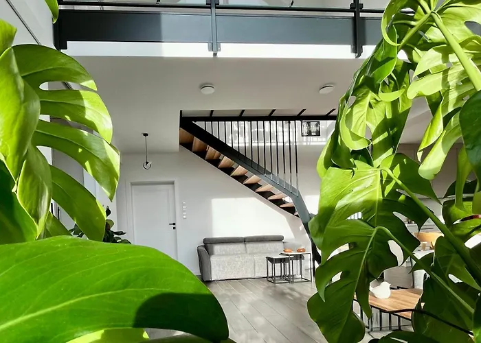 Sunny Slope - Platinum شكلارسكا بوريبا